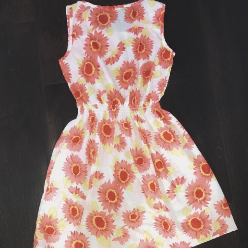 Drunken Tango Dress